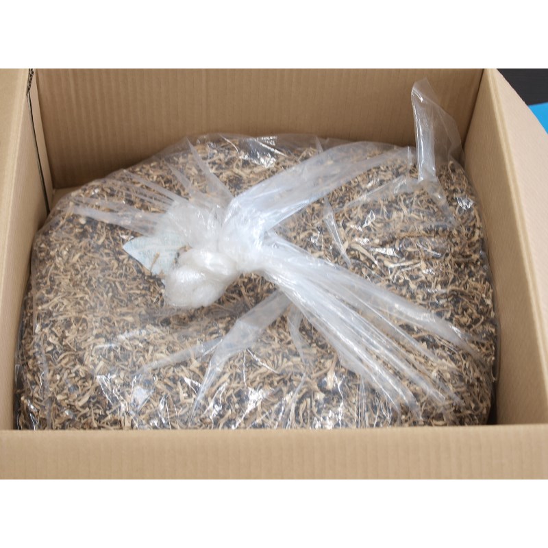 乾燥ミニミニぶなしめじ 2.5kg 【長野】業務用(乾燥きのこ)※賞味期限出荷日より1年【VC】