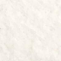 【法人様のみ送料無料(離島・北海道除く)】株式会社ニップコーポレーション 91cm×25m乱 防炎性能 ポリプロピレン 9パレットパンチ パンチカーペット YN-50S YN50S【反売】|ECクルー店