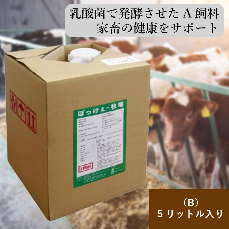 ボアがふっくら気持ちイイ Amazon.co.jp: JEJアステージ フタが外せてお手入れ簡単