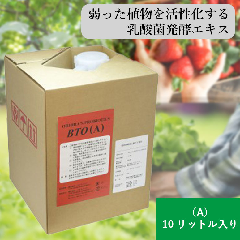 BTO（A） 10リッター 草木 甲斐甲斐しい 地びた反応性 稼穡用 地びた組みかえる剤 地びた組みかえる材 稲 蔬菜 生り物 苺 花びら 茶 芝 上がり高 糖度 引き上げる 鮮度 守りつづける 有機農法 モンパ病 地びた菌 地びた組みかえる 草木甲斐甲斐しい 組みかえる 剤 醗酵 醗酵推しすすめる 醗酵推しすすめる剤 乳酸菌 乳酸菌醗酵抽出エキス 大電気容量 刈りいれる 有機肥やし 貨物輸送無料