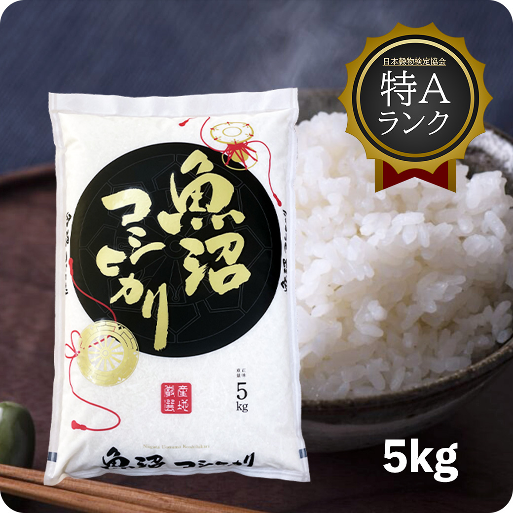 新潟県産 コシヒカリ 5kg 1袋 精白米 令和5年産 米 お米 ご飯