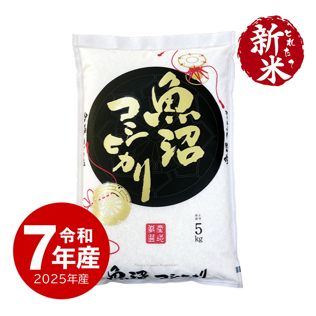 令和6年産 魚沼産コシヒカリ 10キロ