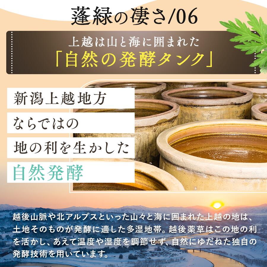 酵素ドリンク 楽天1位 越後酵素蓬緑 無添加 累計販売数3億杯突破