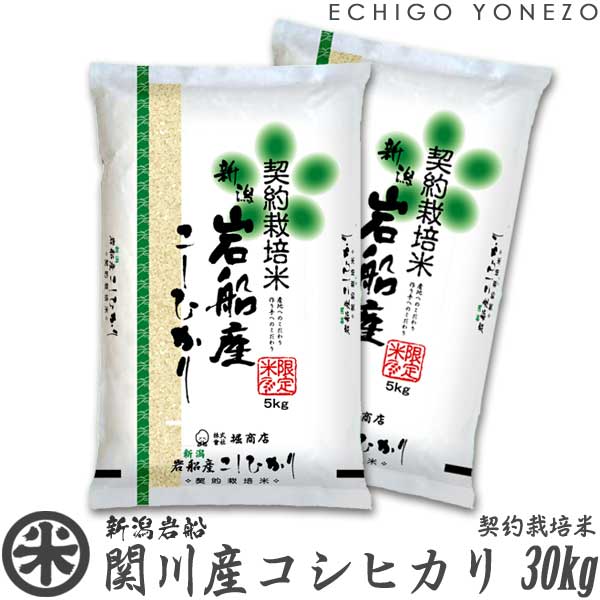 時間指定不可 新潟米02 豪農の郷 岩船関川産コシヒカリ 契約栽培米 白米 30kg 5kg 6袋 岩船郡関川村 こしひかり ギフト 米 契約栽培 おもたせ 贈答 御祝 内祝 御中元 御歳暮 Giftgift Kome Niigata Koshihikari 国内配送 Lexusoman Com