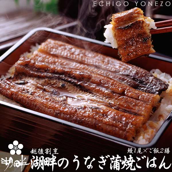 うなぎ蒲焼 国産 越後割烹湖畔の鰻蒲焼ごはん 鰻 大サイズ 1尾 カット2枚 ごはん2膳 日本鰻使用 魚沼産コシヒカリ 炊上げごはん 急速冷凍 真空パック 山椒付 父の日 敬老の日 土用の丑の日 お歳暮 Glaze Grilled Japonica Eel Fmcholollan Org Mx