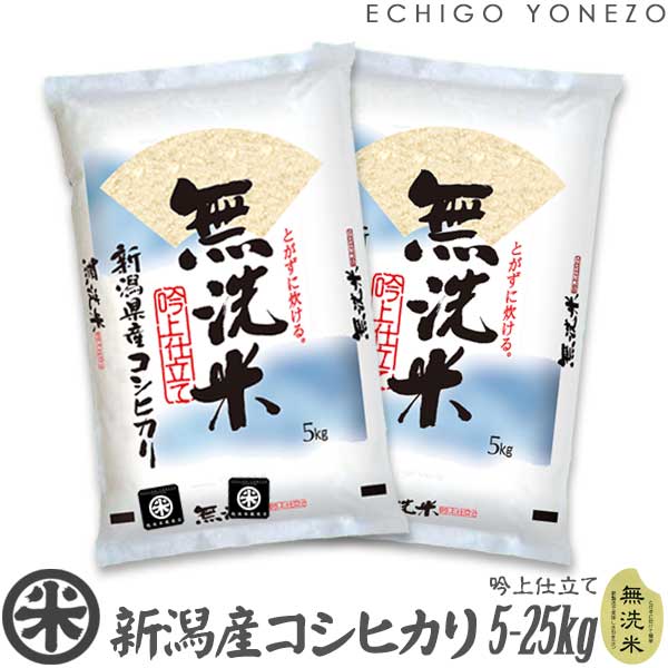 コシヒカリ お米 10kg 白米 送料無料 5kg×2袋 新潟県産 令和6