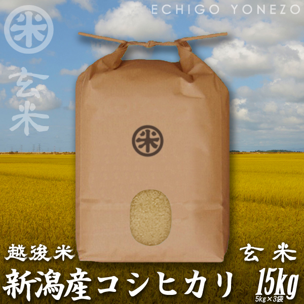 食品 新米！20KG 玄米令和５年度高知県産コシヒカリ | cubeselection.com