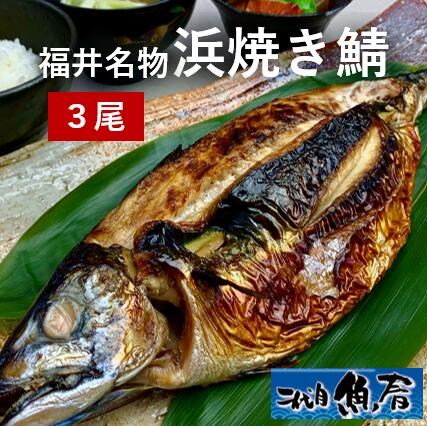福井名物 浜焼き鯖<BR>（３尾セット）<BR>【　福井　焼き鯖　】