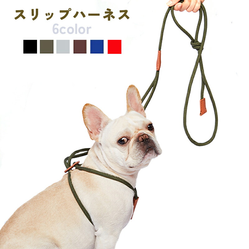 楽天市場】スリップ・ハーネス リード シンプル 一体型 ハーネス 革