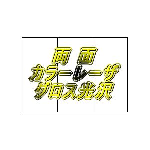 トヨシコー 両面グロス光輝110kg 3ツ折りの曲がり目入り口・入口 ex (大きさ:A3 寸法:200枚/1容れもの)