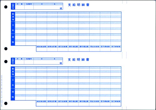 OBC オービックビジネスコンサルタント 単票ふり出しこと細か書 1000仕掛ける 09-SP6101