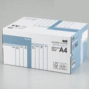 TANOSEE αエコ色つや調査報告II 御勤め用容器に並べる 天の原青碧 A4 500枚×10冊/箱(AECSBA4-BX)