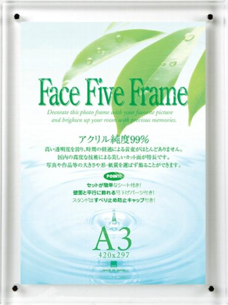 APJ アートプリントジャパン アートプリントジャパン / フェイスファイブF クリア A3 【30736701】