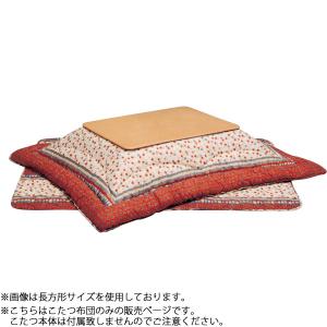 イケヒコ 国内プリント こたつ厚掛け布団単品 『オアシス』 205×245cm(裏地:ボア)