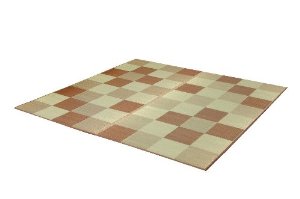 イケヒコ 純国産 い草ラグカーペット 『F立ちはだかる2』 赤銅色 約191×191珊（裏:ウレタン）