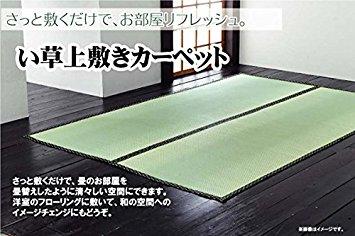 イケヒコ 純国産 い草 上敷き カーペット 双目織 『草津』 本間3畳（約191×286cm）
