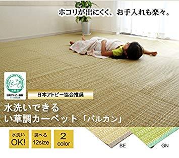 イケヒコ 洗える PPカーペット アウトドア ペット グリーン 本間10畳（約477×382cm）
