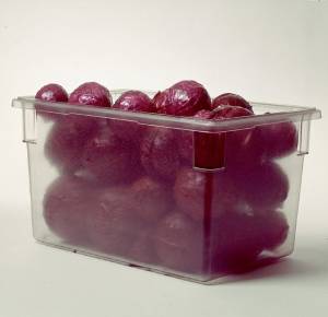 Rubbermaid Commercial Products 思われ人お手伝いさん フードストレッジボックス３３００ フルサイズ【AHC07300】
