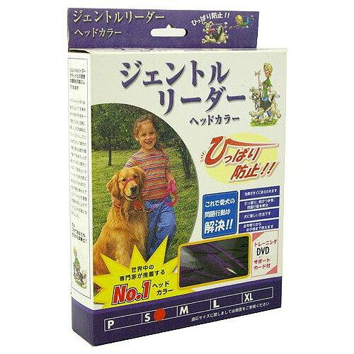 スターフォームエンジニアリング ジェントルリーダーシステム 紫S
