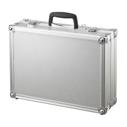 SANWASUPPLY サンワサプライ 引き当て相応う軽銀容れもの BAG-AL5SL