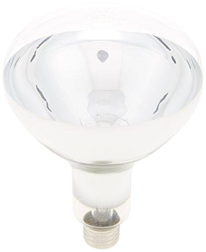 岩崎電気 アイ R形赤外線電球 110V 125W E26口金 IR100/110V125WRH