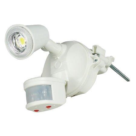 日動工業 LEDセンサーライト クラブアイ 10W SLS-CE10W-1P