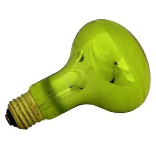 旭光電機 【まとめ買い10個セット】防虫電球(耐熱着色皮膜加工) 110V60W E26 ボウチュウデンキュウ60Wヒマクツキボウテキヨウ-10SET【入数:10】