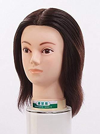 楽天市場】ユーカリジャパン 国家試験練習用カットウィッグ 24-2cut 人