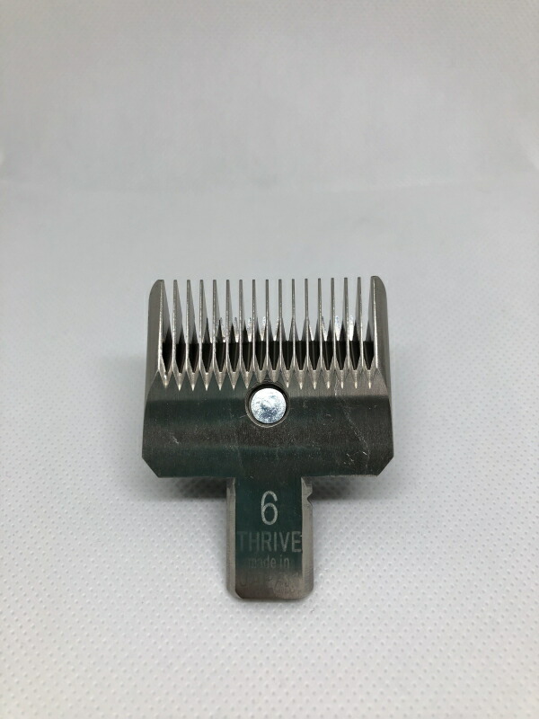 大東電機工業 (スライブ)5シリーズ 共通替刃 6mm