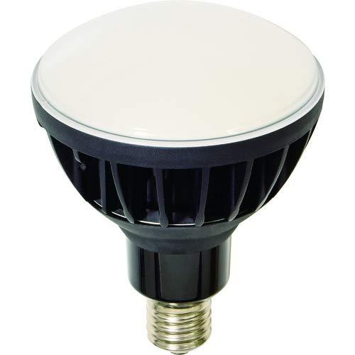 日動工業 日動 LED交換球 ハイスペックエコビック50W E39 本体黒
