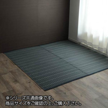 イケヒコ 洗える PP引っ敷き アウトドア 愛玩動物 米国海軍 本間10畳（約477×382珊） クッション・座布団-インテリア・寝具・収納