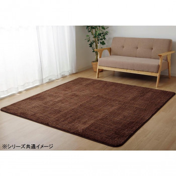イケヒコ ラグ カーペット マット 珊瑚マイヤ 洗える 滑りにくい ブラウン 約200×300cm