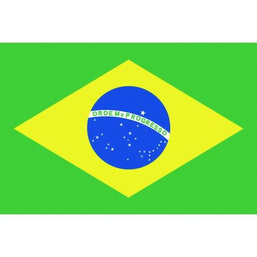 日本の首都製旗 少尉No.2(90×135糎) ブラジル連邦共和国 その他-知育玩具・学習玩具