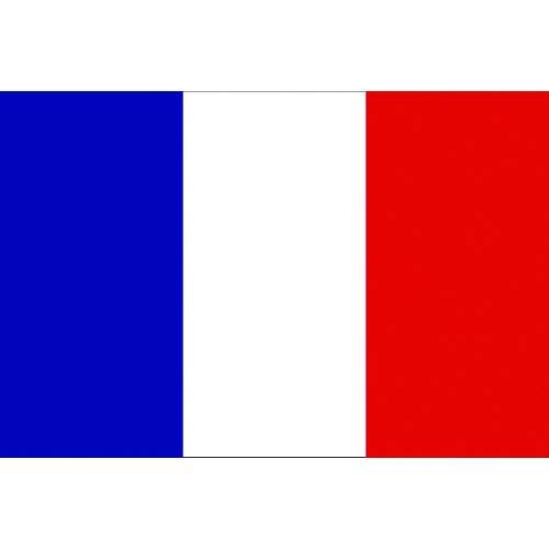 日本の首都製旗 少尉No.2(90×135糎) フランス共和国 おもちゃ-その他-知育玩具・学習玩具