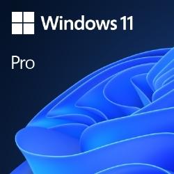 MICROSOFT マイクロソフト Win 11 Pro 64Bit Japanese 1pk DSP OEI DVD(FQC-10539) 22,146円