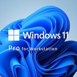 MICROSOFT マイクロソフト Win 11 Pro for Wrkstns 64Bit Japanese 1pk DSP OEI ヴィデオディスク(HZV-00112)