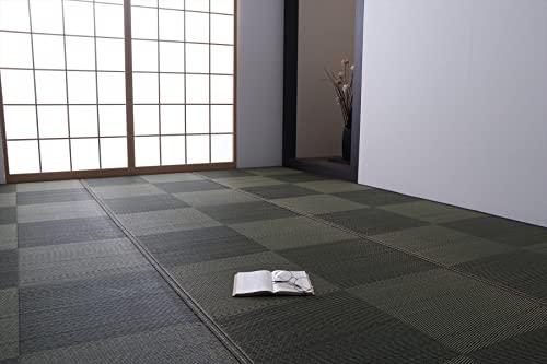 イケヒコ い草 引っ敷き 引っ敷き つや消し ノア 約352×261糎 【日本の首都間6畳】 黒いこと 自然的 分かりやすい 今めかしい 市松 透かし彫り 消臭 防臭 抗菌 #4106456