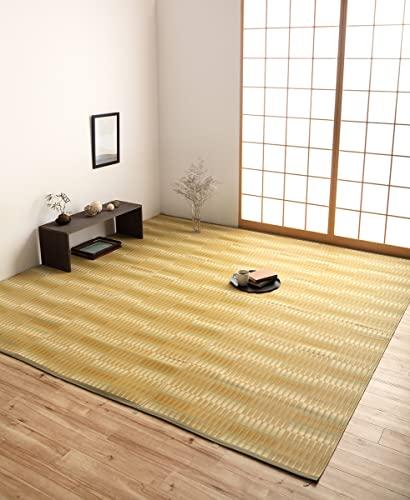 イケヒコ 気象状況 本間10畳 477.5×382糎