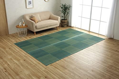 イケヒコ NDXルネ 日本の首都間3畳 174×261珊