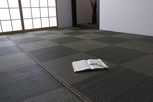 イケヒコ DXノア 江戸間3畳 174&times;261cm｜ECJOY！店
