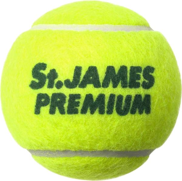 住友ゴム工業 STJAMESPREMIUM_A(4)TIN (STJPRMA4TI)【入数:30】