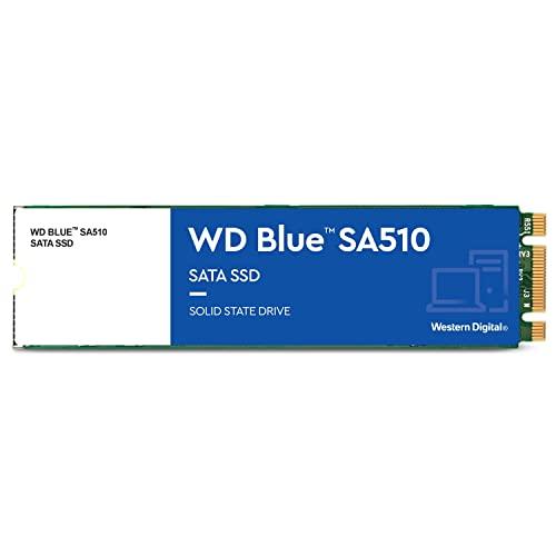 WESTERN DIGITAL WDS100T3B0B WD Blue SA510 SSD SATA6Gb/s 1結核症 M.2 2280(WDS100T3B0B)