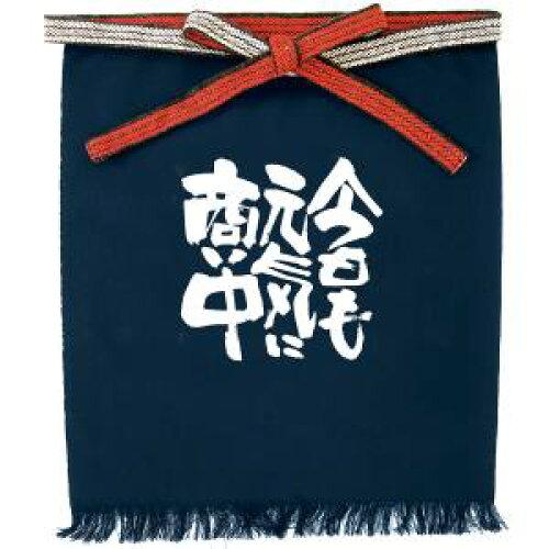 NOBORIYA のぼり屋 E_帆前掛 1043 (短) 今日も元気に (1043)【入数:5】|ECJOY!店