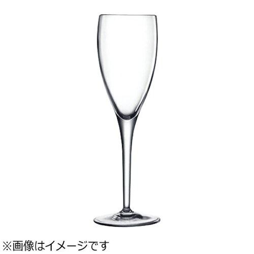 Luigi Bormioli ミケランジェロブオナローティ シャンパーニュ（６ヶ入）１０２８３／０２【RBLL001】 キッチン用品・食器・調理器具-食器・カトラリー・グラス