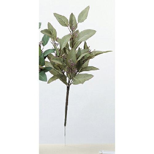 ASCA アスカ ユーカリブッシュ セージグリーン (A-42726-53S)【入数:12】｜ECJOY！店