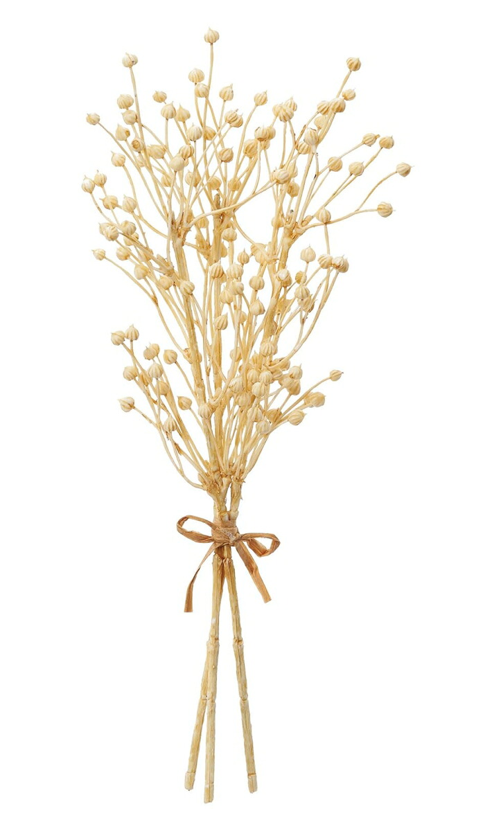 ASCA アスカ フラックスシードバンチ(1束3本) ベージュ (A-47985-8)【入数:12】｜ECJOY！店