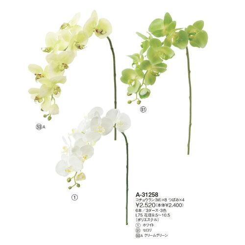 ASCA アスカ Aー31258 コチョウラン(M#001 ホワイト (72-31258-1)
