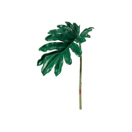 ASCA アスカ クッカバラ【価格変更】 (A-46092-51A)【入数:24】 6,749円