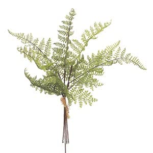 ASCA アスカ レザーファーンバンチ(1束3本)【価格変更】 (A-41591-51A)【入数:24】|ECJOY!店