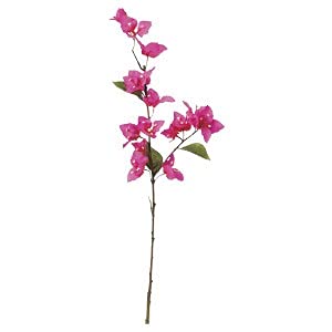 ASCA アスカ ブーゲンビリア×16【価格変更】 (A-33347-23H)【入数:12】